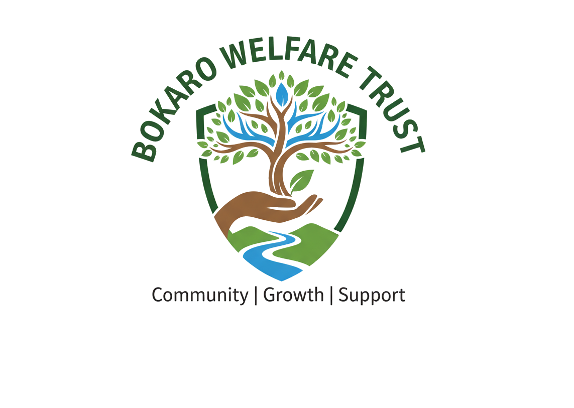 Community project in Bokaro